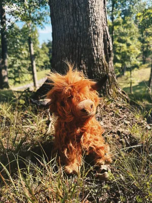 Ginger Highland Coo Plush Toy